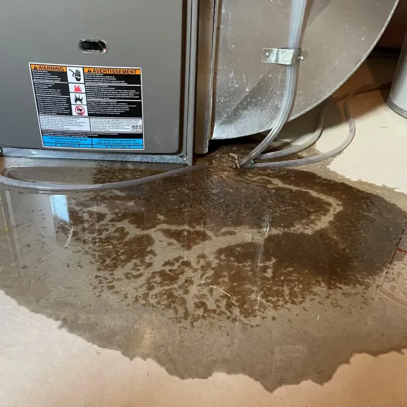 Appliance Leak Cleanup in Playita, PR
