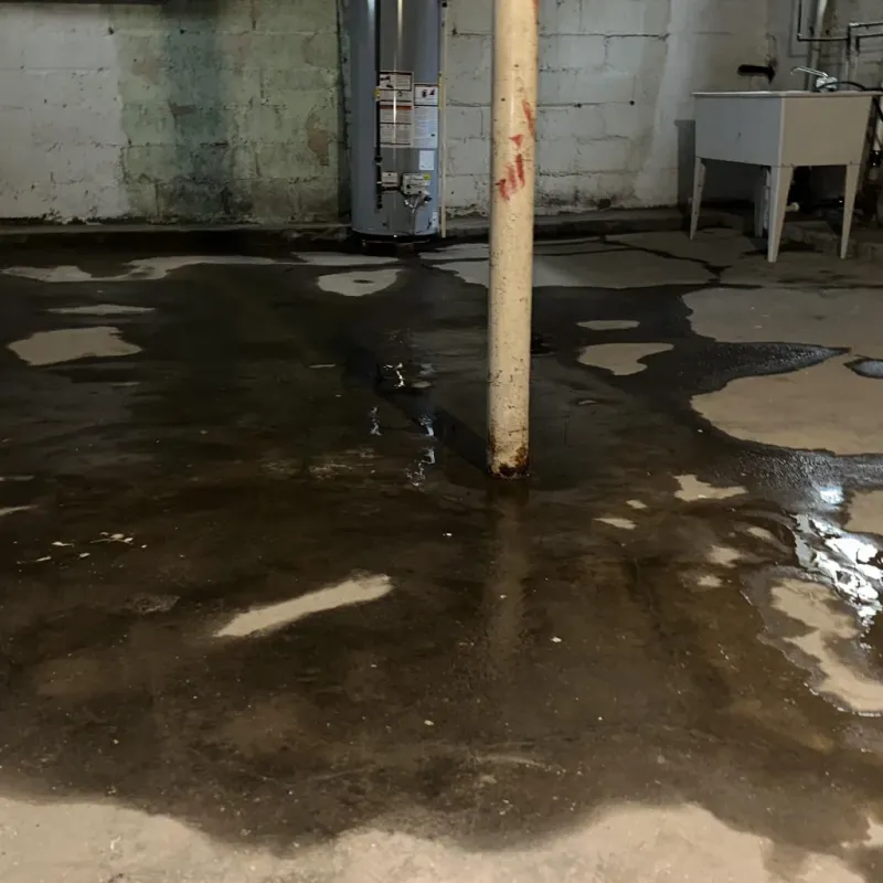 Emergency Water Extraction And Removal in Playita, PR